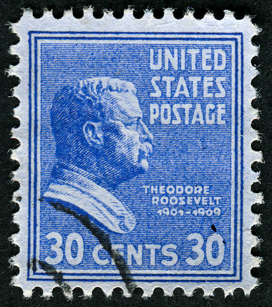 theodore roosevelt stamp - president postage stamp profile usa foto e immagini stock