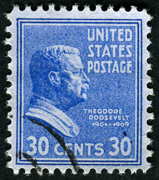 theodore roosevelt carimbo - president postage stamp profile usa imagens e fotografias de stock