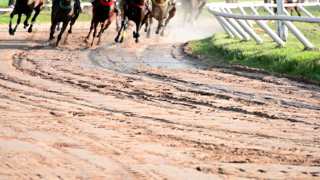 HD:horse race.
