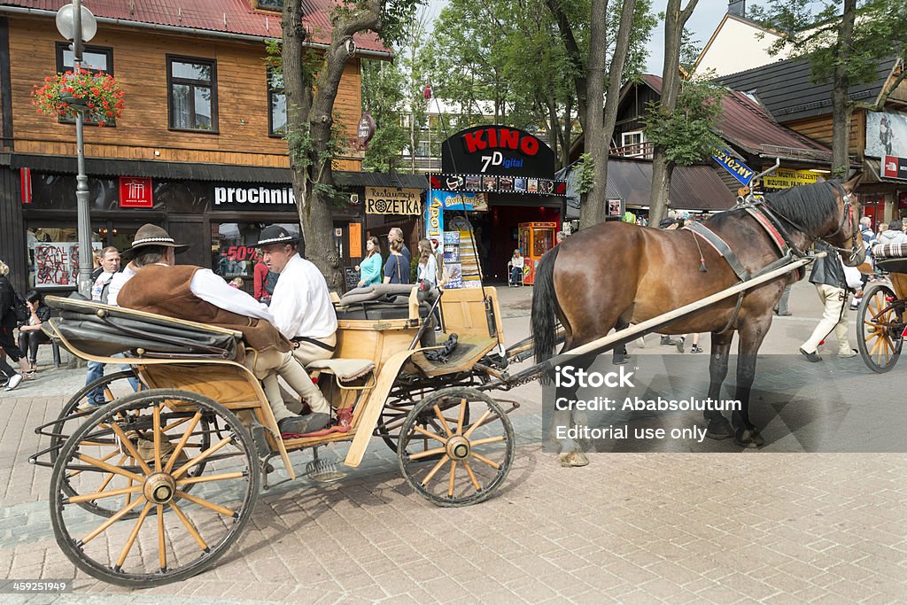 Wóz konny czeka na turystów Zakopane Polska - Zbiór zdjęć royalty-free (Biały)