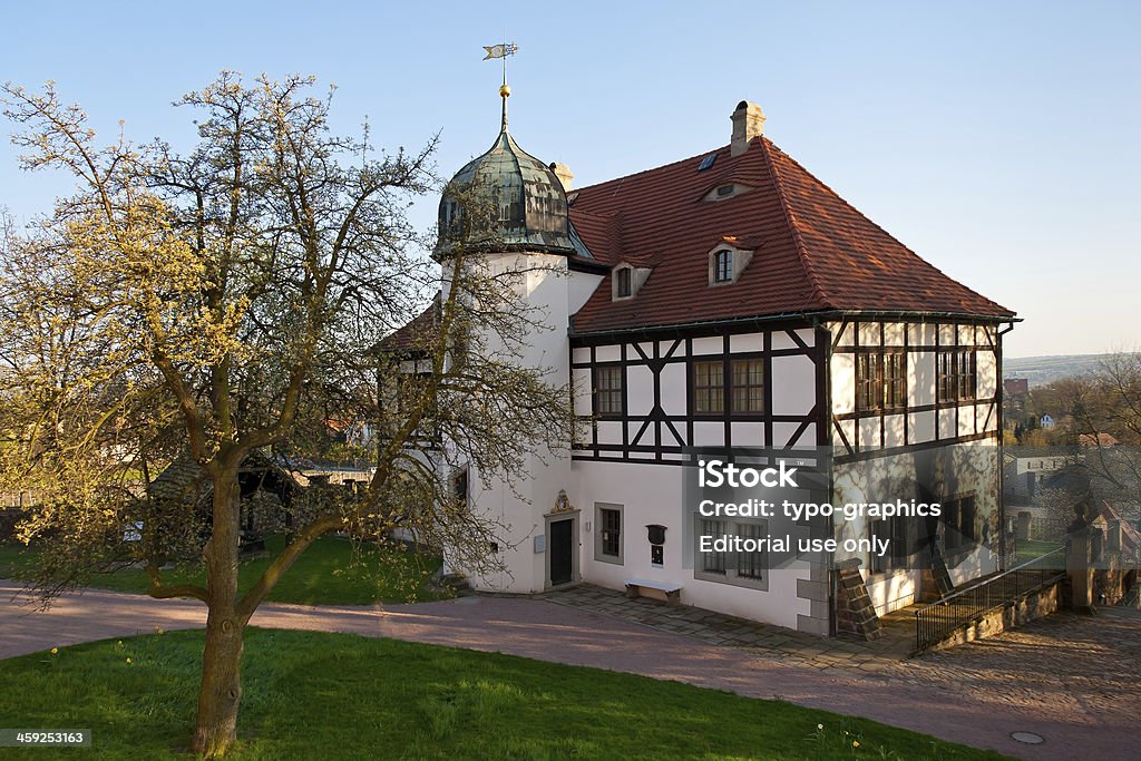 Hofloessnitz castello in Radebeul, Sassonia - Foto stock royalty-free di Albero