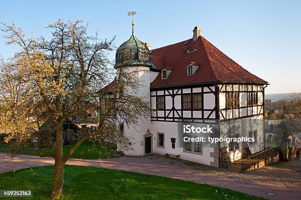 Hofloessnitz Castello In Radebeul Sassonia - Fotografie stock e altre immagini di Albero - Albero, Ambientazione esterna, Architettura