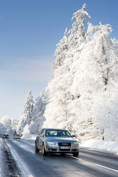 Car under fallen tree after heavy snow.
