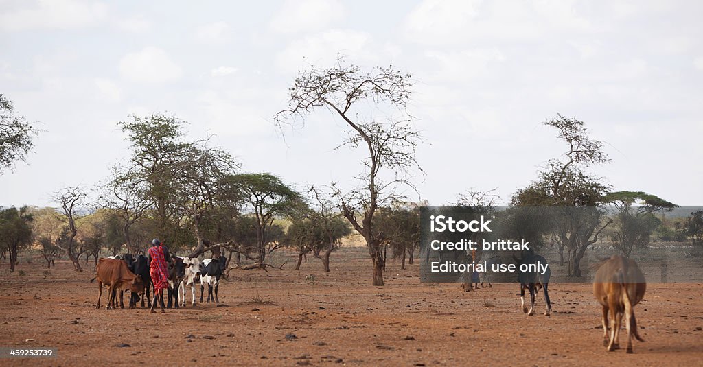 Африканский пейзаж с Maasai людей и скот - Стоковые фото Кения роялти-фри