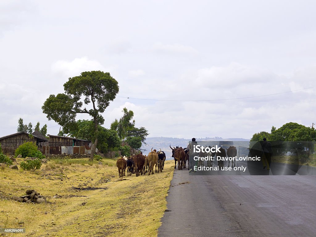 시골길 에디오피아 - 로열티 프리 2명 스톡 사진