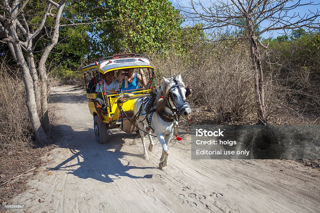 Телега запряжённая лошадью, Gili Острова Индонезия - Стоковые фото 2012 роялти-фри