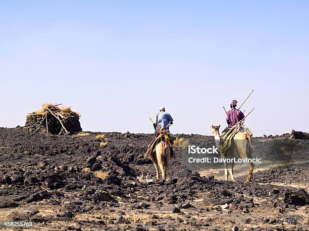 Photo libre de droit de De Camel Riders banque d'images et plus d'images libres de droit de Adulte - Adulte, Afar, Afrique
