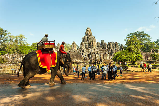 Young man traveling in Cambodia visiting the temples of Angkor wat complex. People travel discovery Asia concept. Shot at sunset, one man only, adventure and exploration in Siem Reap, Southeast Asia.