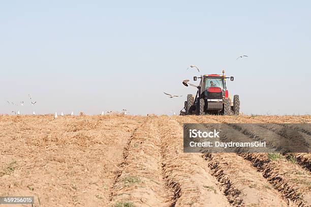 Kartoffel Harvest Stockfoto und mehr Bilder von Idaho - Idaho, Kartoffel - Wurzelgemüse, Agrarbetrieb