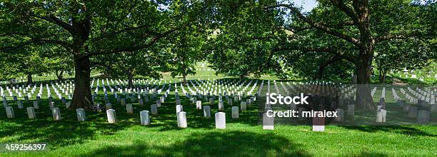 Mar De Tombstones En El Cementerio Nacional De Arlington Virginia Usa Foto de stock y más banco de imágenes de Arlington