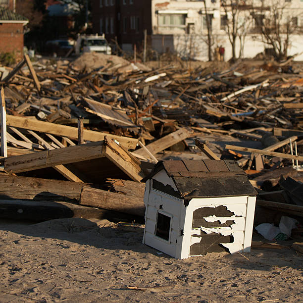 Ruined homes on the Brighton Beach after Sandy hurrican New York City, USA - December 11, 2012: Woods and other garbage and a parts of damaged homes still on the beach after about 2 month after hurricane Sandy. Brighton Beach, Brooklyn, NY. hurrican stock pictures, royalty-free photos & images