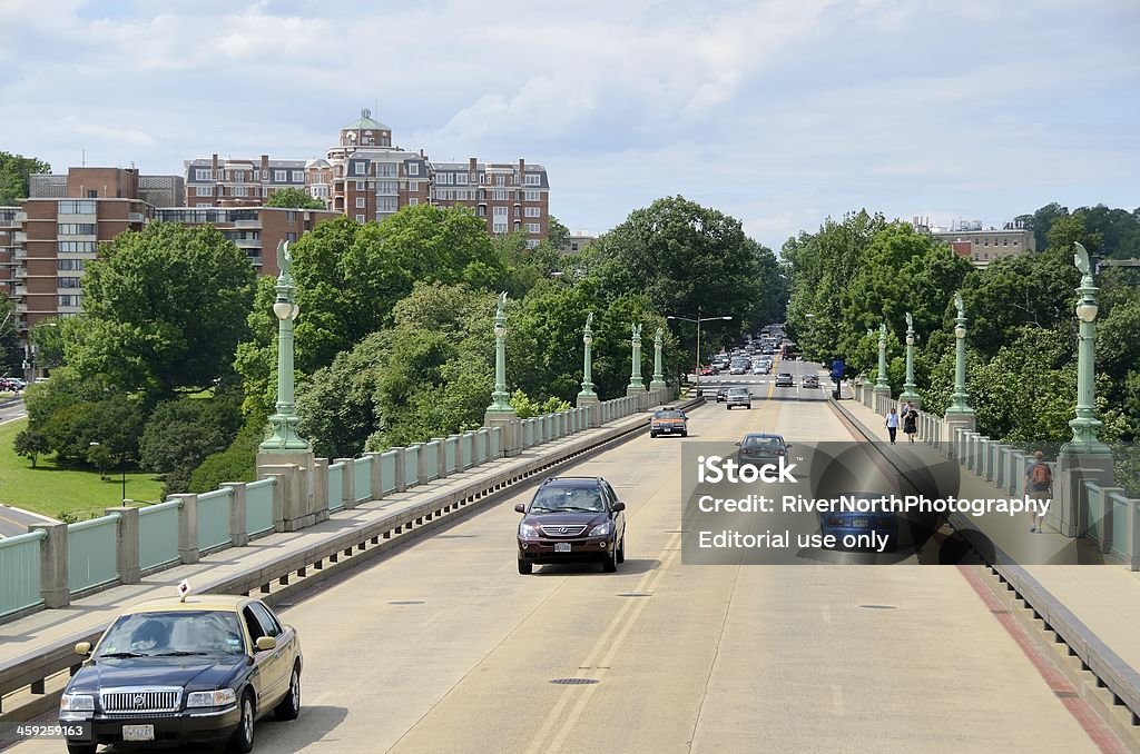 Scena di Washington DC - Foto stock royalty-free di Albero