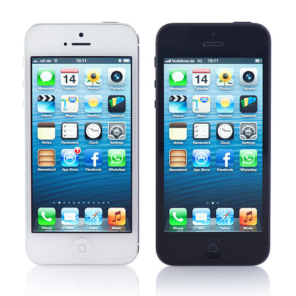 사과나무 iphone5 흰색, 검정색 - iphone iphone5 iphone 5 telephone 뉴스 사진 이미지