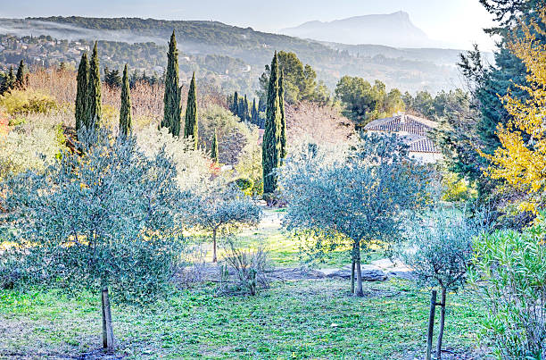 Provencal landscape, France, showing Mont Ste Victoire, from the same spot in Aix-en-Provence where Cezanne painted the same landscape as it was in the 19th century