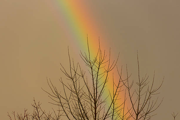 istock End of the rainbow 459268463