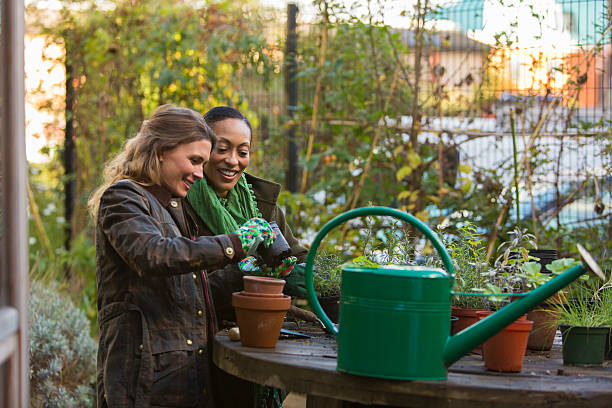istock Young Women in the Garden 459269585