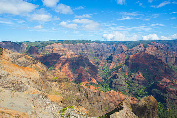 istock Waimea Canyon, Kauai, Hawaii 459269587