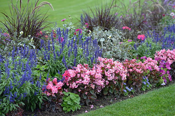 istock Flower bed in a garden 459270667