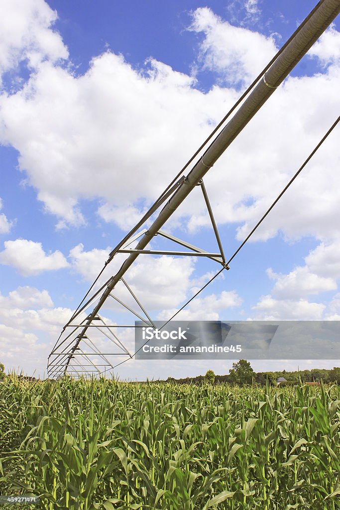 Système d'irrigation de l'agriculture - Photo de Agriculteur libre de droits