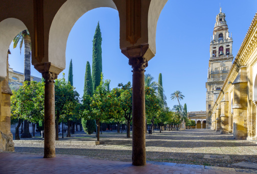 Minaret Mosque Cordoba, Spain, view from inside the Patio de los Naranjos