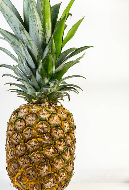 istock closeup of a pineapple 459274403
