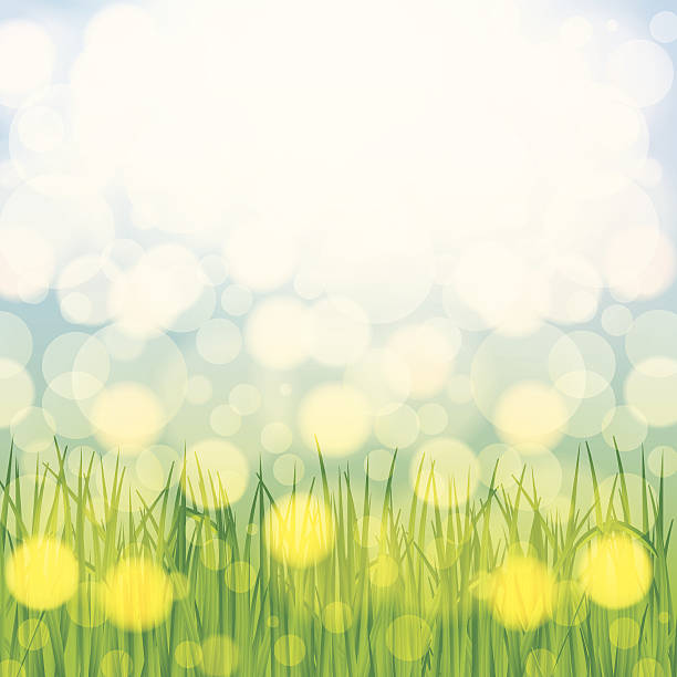 ilustrações, clipart, desenhos animados e ícones de fundo de linda primavera - day may lawn leaf