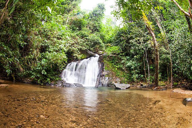 istock above of Punyaban waterfall 459282843