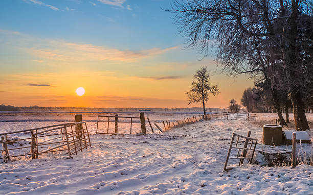 istock Gates and Fences in Winter Landscape 459283389