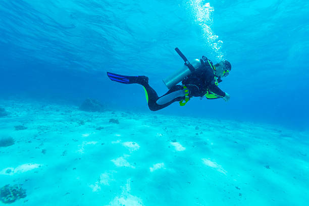 istock Silhouette of Scuba Diver near Sea Bottom 459287073