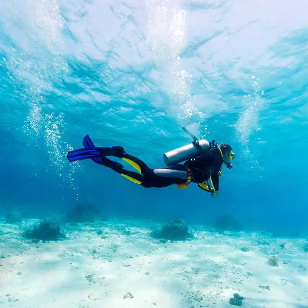 Photo of Silhouette of Scuba Diver near Sea Bottom