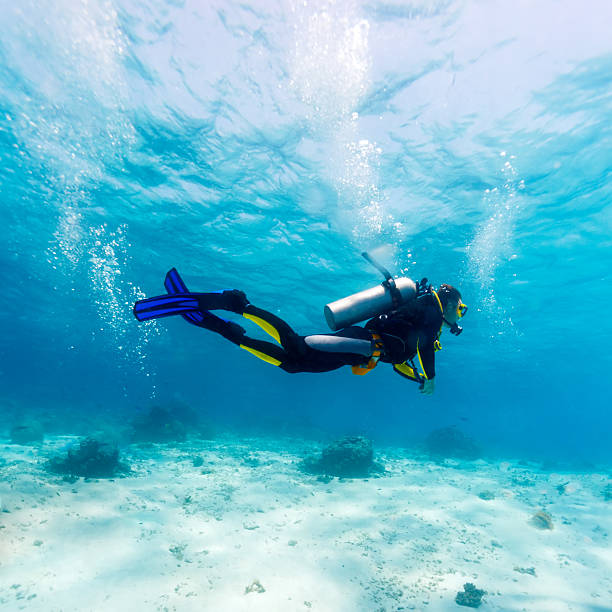 silhueta de mergulhador perto do fundo do mar - mergulho autônomo - fotografias e filmes do acervo