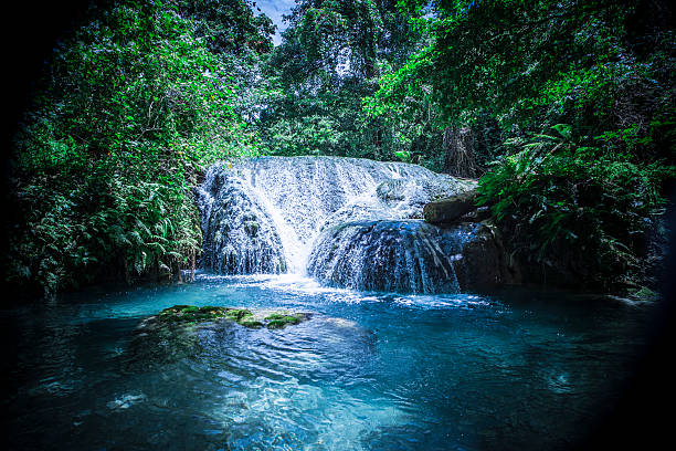 blue lagoon forest waterfall - waterfall rapid landscape woods stock-fotos und bilder