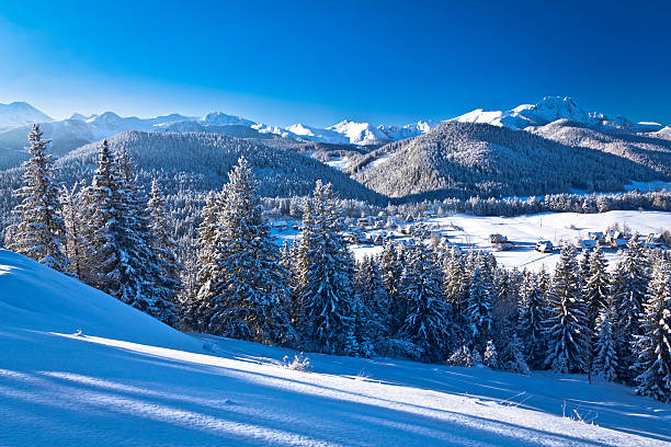 istock Winter morning view of the Tatra Mountains 459293373