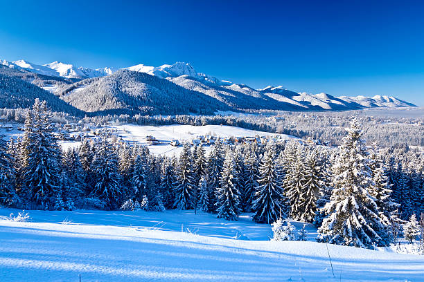 Winter morning view of the Tatra Mountains Winter morning view of the Zakopane in valley and Tatra Mountains in background tatra tourists stock pictures, royalty-free photos & images