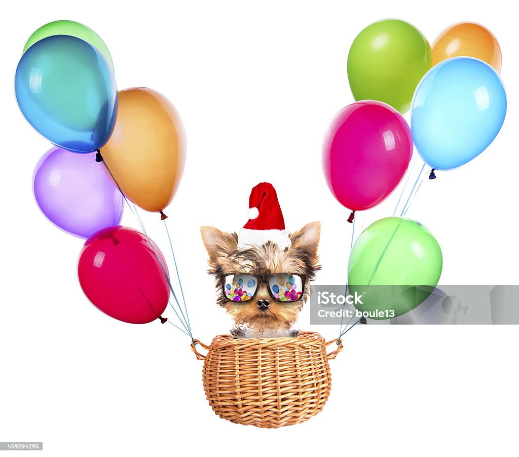 christmas dog as santa with balloons christmas dog as santa flying in a basket with air balloons Animal Stock Photo