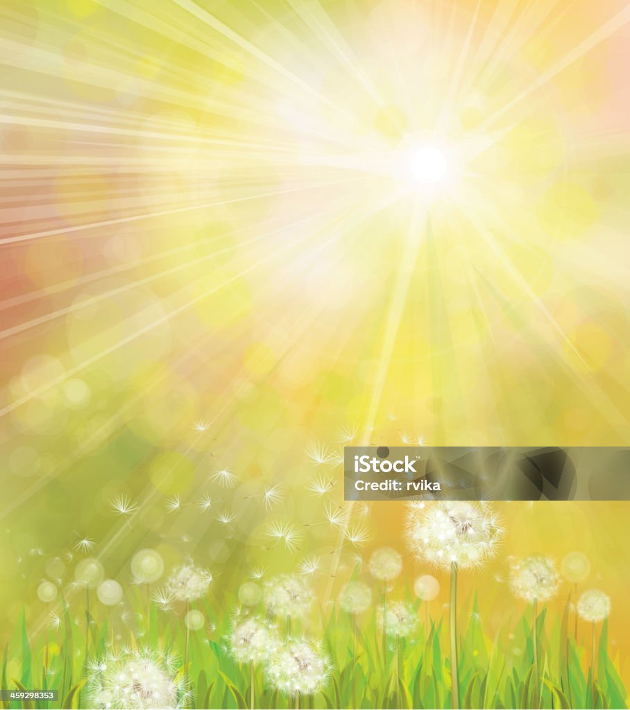 Vector Of Spring Background With White Dandelions Stock ...