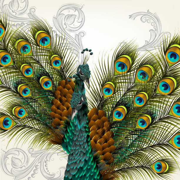 istock Cute background with vector detailed pair of  peacocks on white 459312061