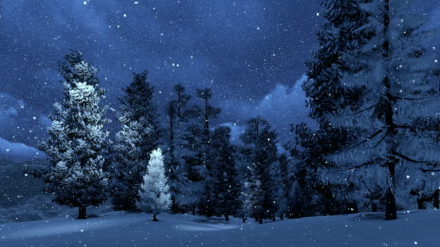 Snowbound pinewood and snowfall at night
