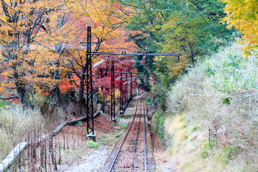 With people looking out the windows, the “Summit” steam engine and passenger car descends near the Jacob's Ladder trestle on the historic Mount Washington Cog Railway in New Hampshire on September 3, 1998.