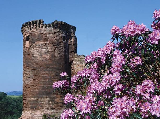 castelo bothwell escócia lanarkshiregreat-britain_counties.kgm - lanarkshire imagens e fotografias de stock