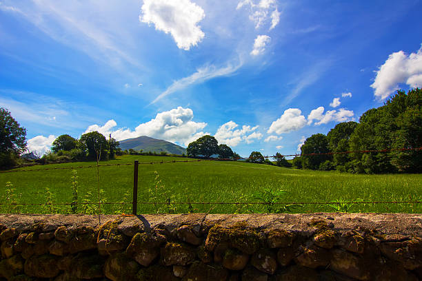 istock green meadow in spring with blue sky and white clouds 459324953