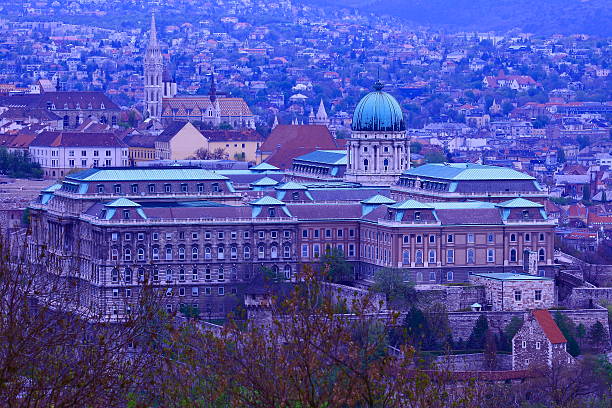 zamek królewski w budapeszcie i matthias church w wieczór - budapest royal palace of buda architectural styles architecture zdjęcia i obrazy z banku zdjęć