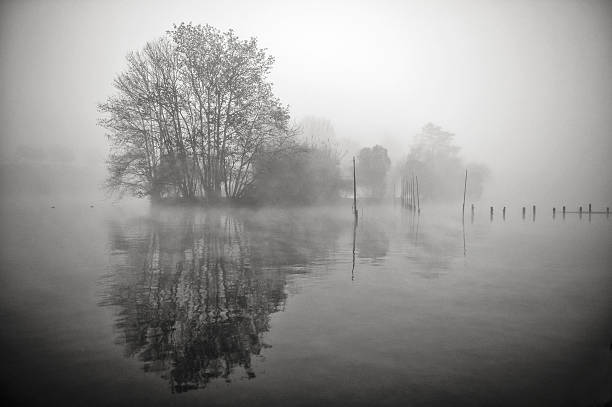 Lake in winter with fog stock photo