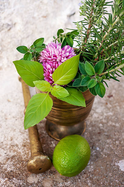 Fresh herbs stock photo