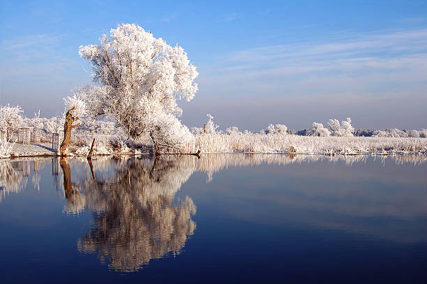 istock winter landscape at Havel River (Germany) 459345341