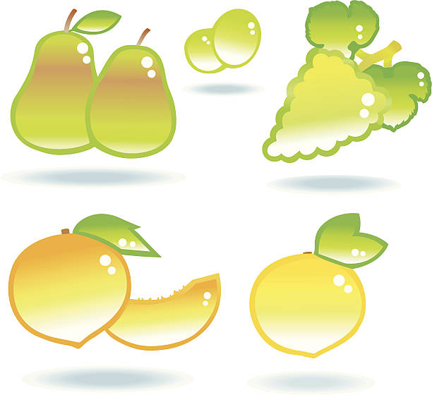 glänzende fruitcollection. - dekorative stock-grafiken, -clipart, -cartoons und -symbole