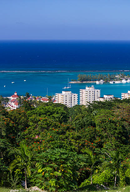 istock Vegetation in Ocho Rios 459362795