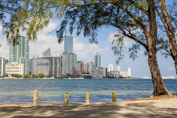 istock View of Miami from Rickenbacker Causeway 459362805
