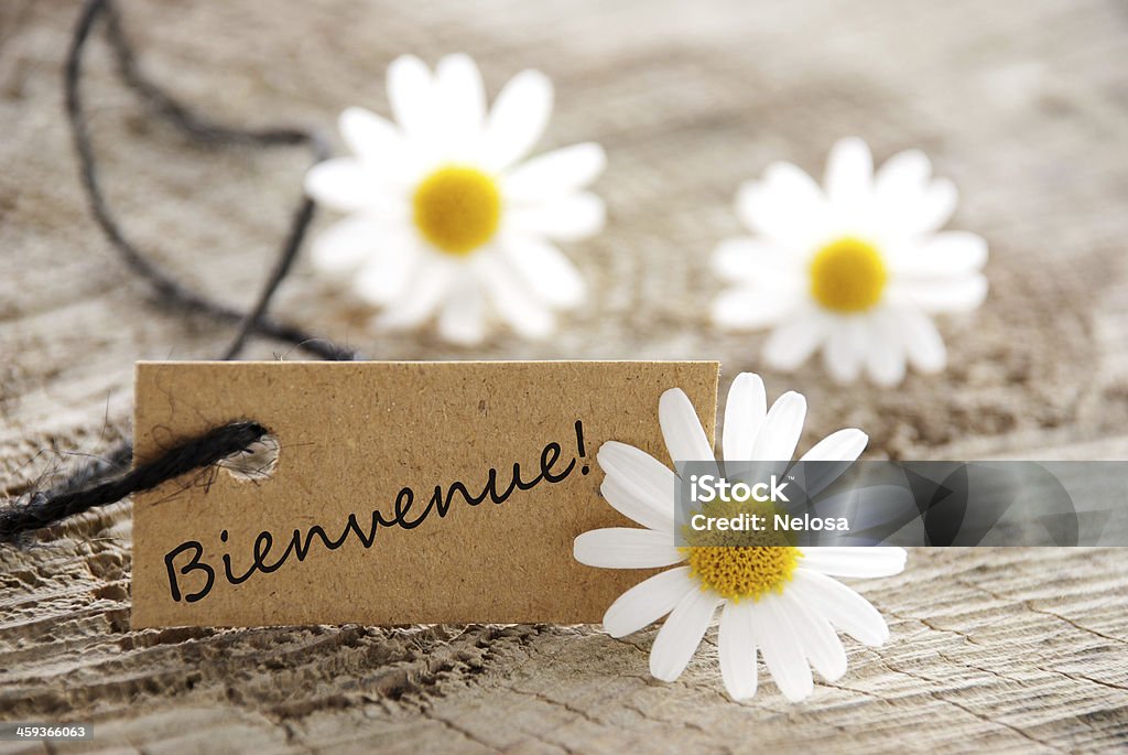 natural looking label a natural looking banner with the french word Bienvenue which means welcome Colors Stock Photo