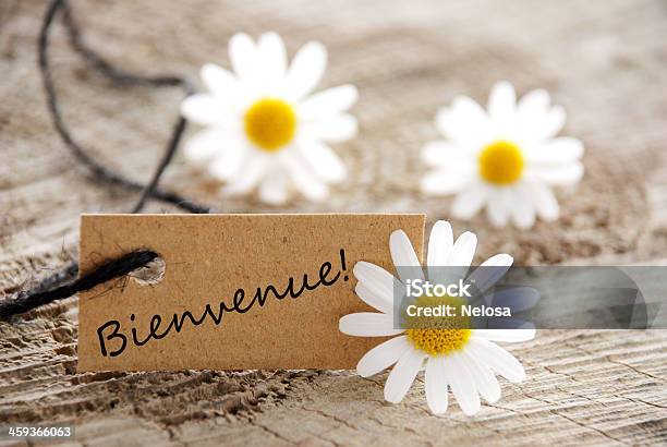 Natural Looking Label Stock Photo - Download Image Now - Colors, Customer, Enjoyment